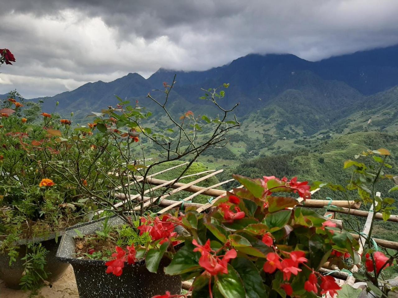 Valley View Coffee & Stay Sa Pa Buitenkant foto